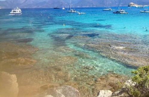 VILLA LE CORAIL ROUGE CORSE - Foto 43