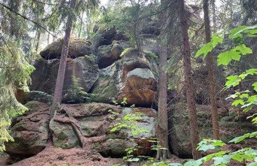 Wellness & Wirlpool-Oase am Wald - Waldferienhaus Dunja in Oybin - Photo 57