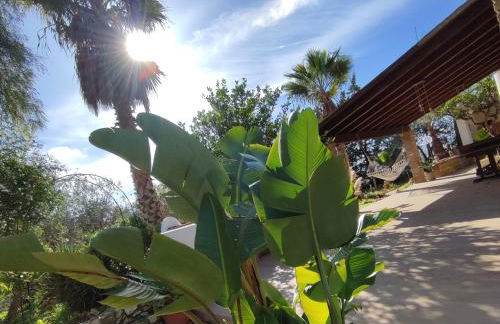 Dimora Virone Paradiso - Foto 24