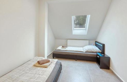 Seepferdchen - Foto 23