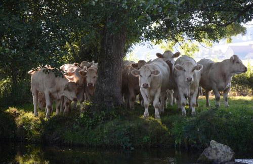Maison Moulin Bousset - Foto 42