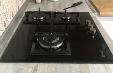 las camelias - Foto 40