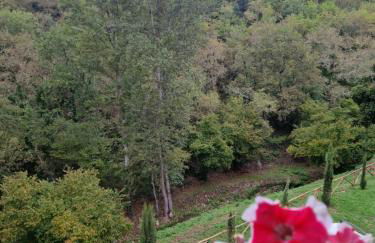 Molino di Cogno - Foto 61