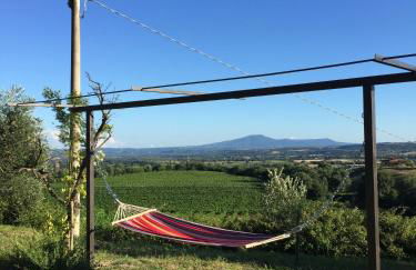 Podere Macee Casavacanza - Foto 19