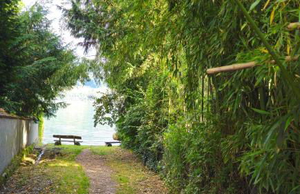 SeePanorama-Deluxe-Sauna-Massage-Garten-Tranpolin-Tischkicker-Tropical-BBQ-Parken - Foto 44
