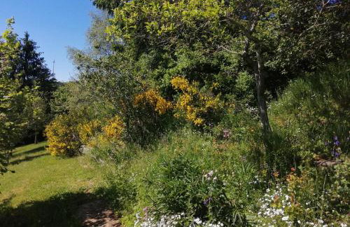 Ferienhaus ROSENHOF Vulkaneifel - Foto 28