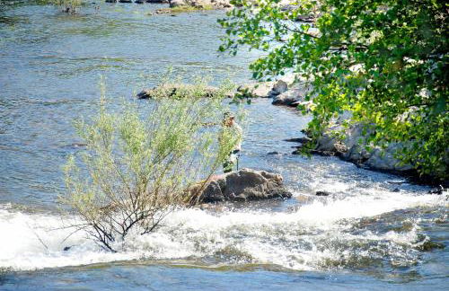 Casa Oliveiras do Douro - Foto 23