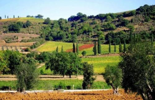 Apartment Agrotourismus - Wohnung mit Pool by Interhome - Foto 62