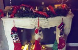 Unieke landelijke woning met zwembad - Foto 1