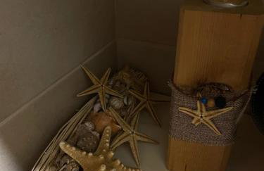 Blue Horizon - Foto 26