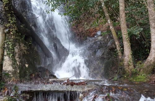 Casa silvosa - Photo 9