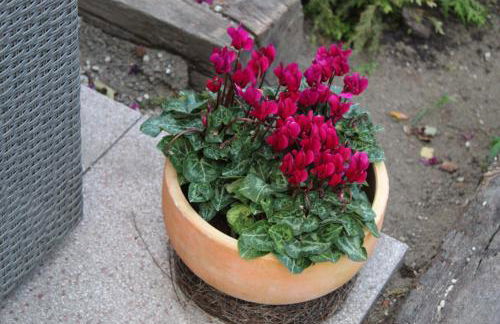 Ferienhaus Im Winkel - Foto 26