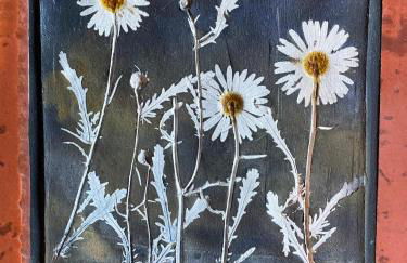 Adega Baia do Canto AL 1398 - Photo 22