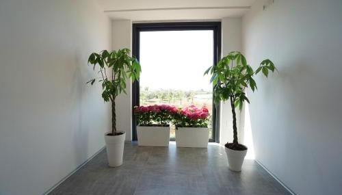 Terra di Negroamaro - Foto 5