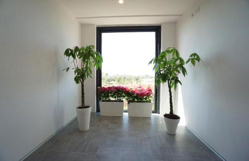 Terra di Negroamaro - Foto 5