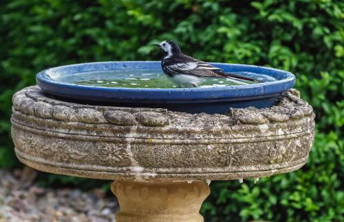 The Cottage Barn - Photo 17