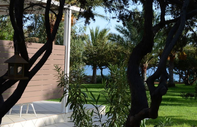 Ktima Grammeno - Foto 27