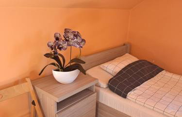 Ogrodowe Noclegi - Photo 9