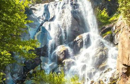 Sequoia Splendor, inside Kings Canyon NP by Visitors Center - Foto 30