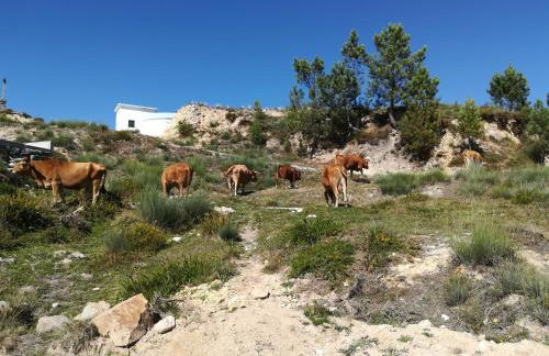 Aldeia de Moura Morta - Foto 28