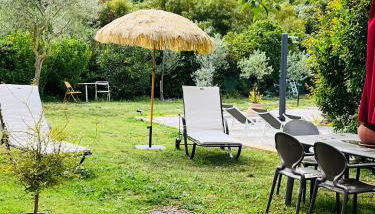 L Atelier gîte 3 étoiles avec piscine Le Jas des Oliviers - Foto 2, Garden