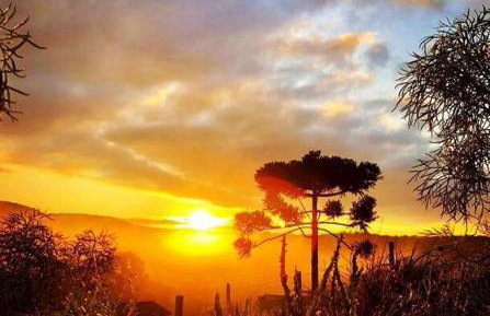 Cabana Santa Cruz - Foto 34