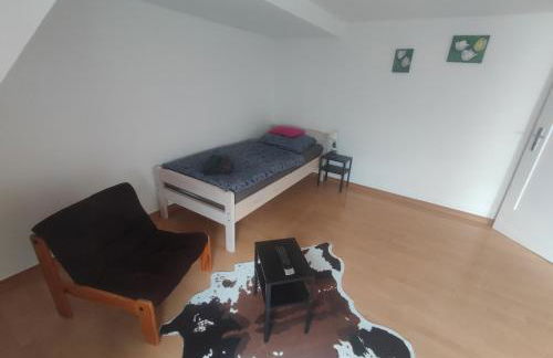 S-21-Appartments Merklingen 2 bis 4 Schlafzimmer - Foto 2