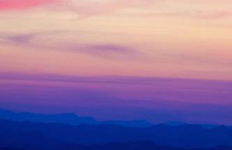 Fattoria Bio L'A Ceccoli - Foto 2
