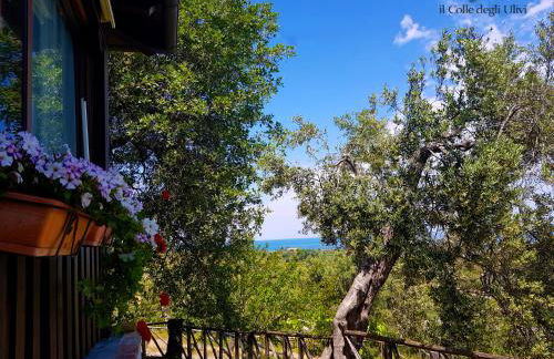 Agriturismo Vulcano - Foto 100