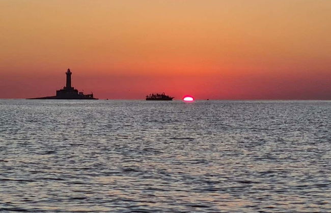 Avistamento de golfinhos ao entardecer - Foto 2