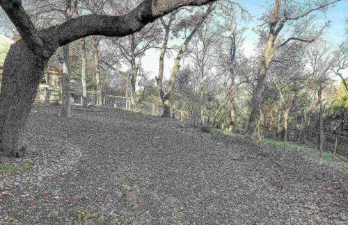 Georgetown Trails - Photo 24