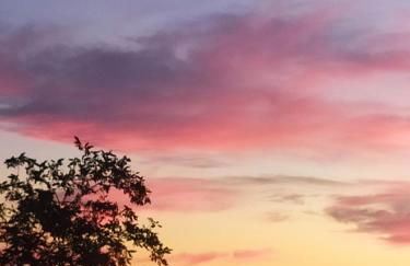 Fra Bosco e Cielo B&B - Foto 16