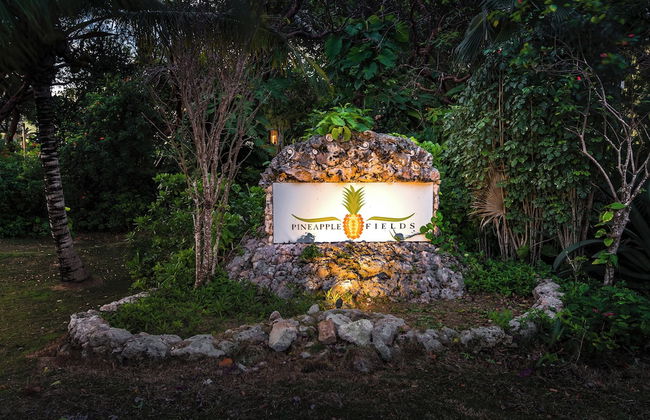 Pineapple Fields Boutique Condo Hotel - Foto 38