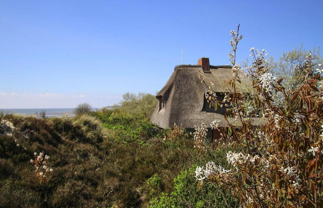 Ferienhaus am Watt, List auf Sylt - Foto 15