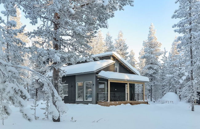 Pallaskieppi - Foto 22