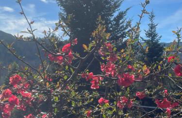 L'Impasse 2-6 personnes, spa, cheminée et piscine en été - Foto 27