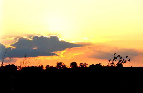 Apartment Battin 44 Uckermark - Foto 59