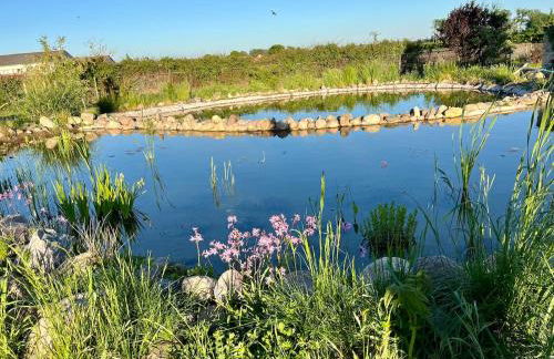 Scheune Zauchwitz - Foto 37