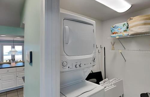 Lion On The Beach - Photo 7