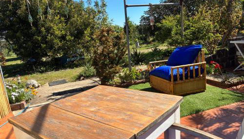 Terra - Foto 4, Garden, Garden view