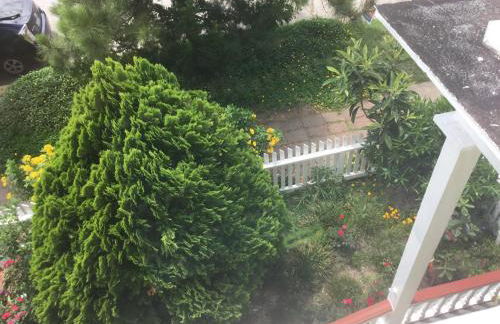 1118 Postoffice Street - Foto 8