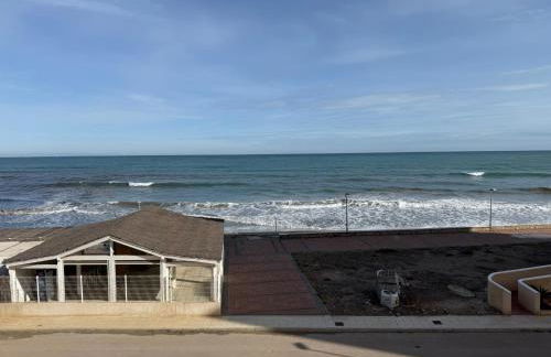 Las Palmeras by Alina365 - Foto 13