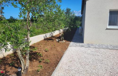 Villa Boni - Photo 7