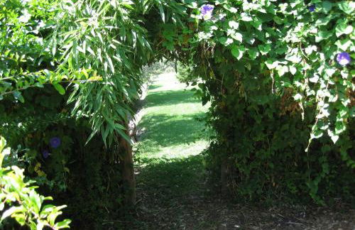 Bancal de Los Pérez - Foto 36