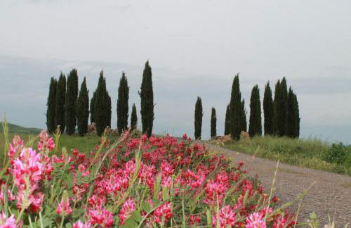 Agriturismo Cantagalli - Foto 128