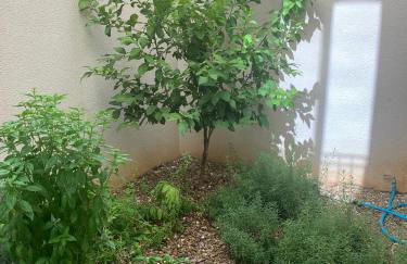 Design Apartment near City Center, Cool popular neighborhood - Foto 6