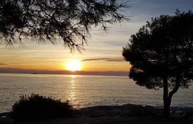 Apartman Sissy - Photo 50