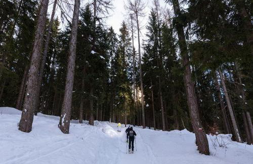 Appartamento Rosa - Foto 14