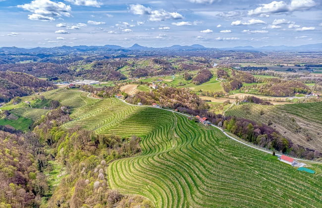 Vineyard Cottage Vesna Lake View - Foto 25