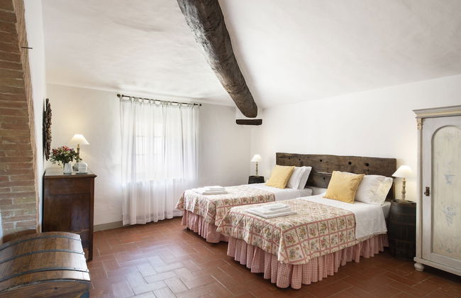 Azienda Agricola Montestigliano - Foto 11